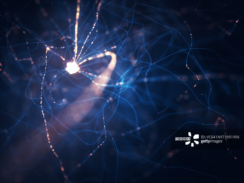 神經干細胞移植在脊髓損傷修復中的作用及應用