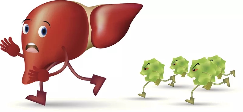 臍帶間充質干細胞治療肝病的應用