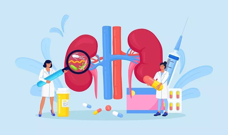 干細胞治療腎臟疾病的最新進展 干細胞治療腎臟疾病的最新進展