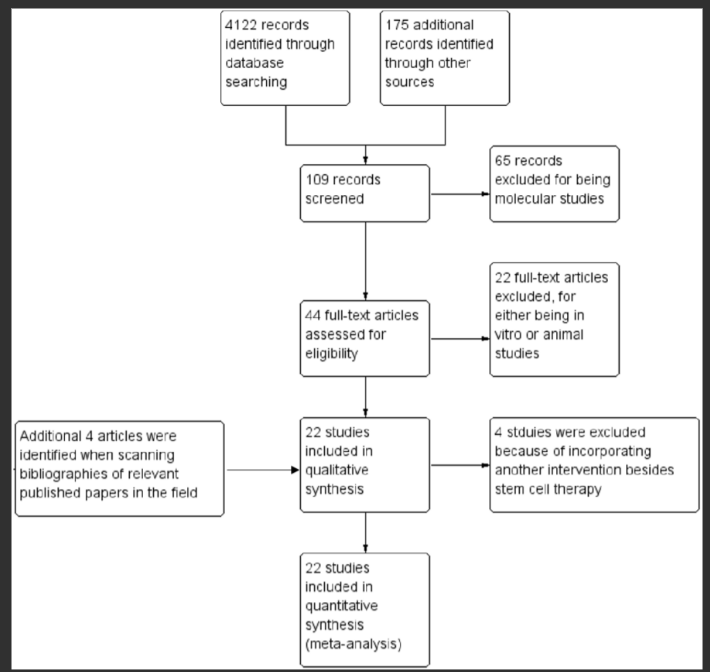圖1.顯示記錄識別、篩選和研究納入過程的流程圖。