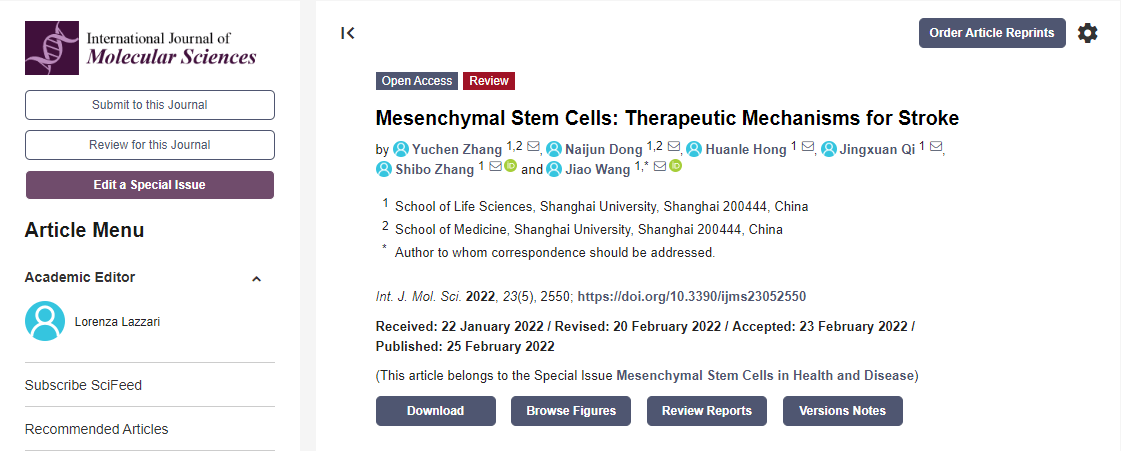 間充質干細胞治療中風機制