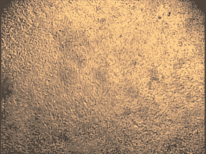 這些心臟細(xì)胞是從培養(yǎng)皿中的干細(xì)胞中培養(yǎng)出來(lái)的，可用于研究心臟的跳動(dòng)節(jié)律。