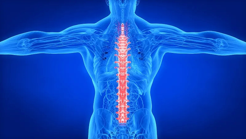 間充質干細胞治療脊髓損傷：目前的進展和未來的前景