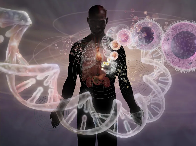 干細胞療法治療急性和慢性創傷性腦損傷的臨床研究回顧