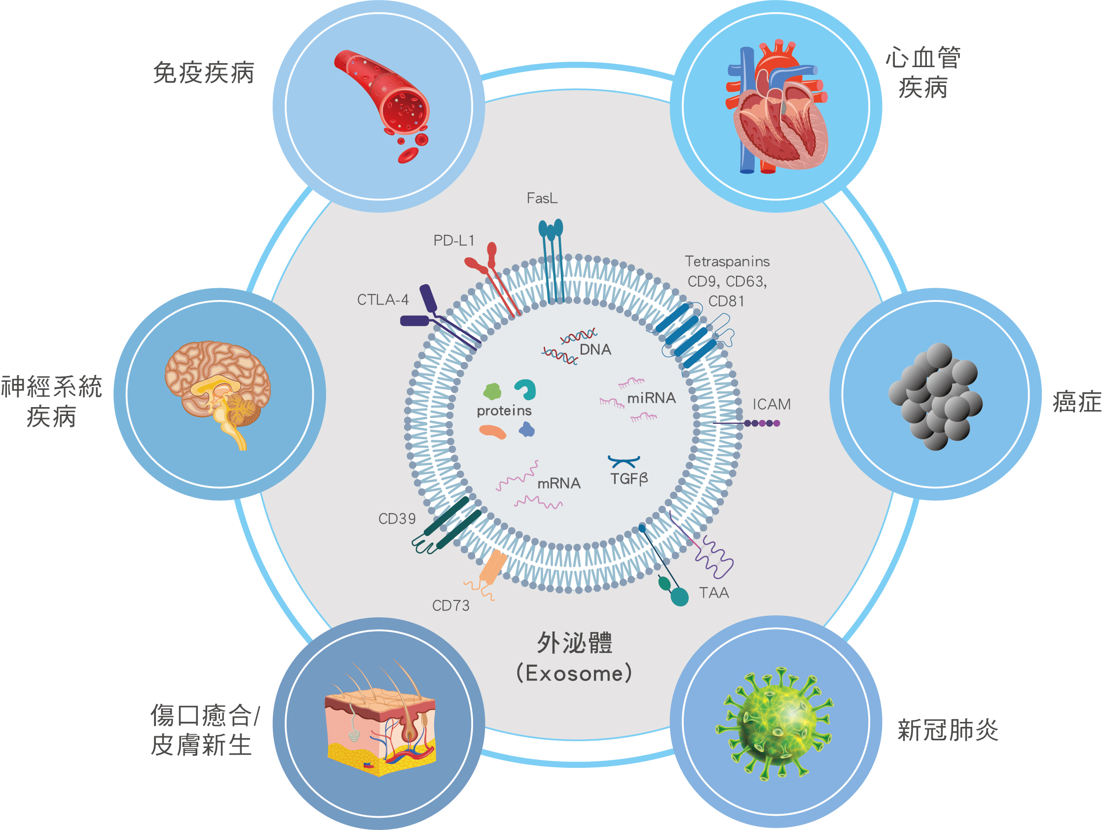 外泌體(Exosome)的臨床應用