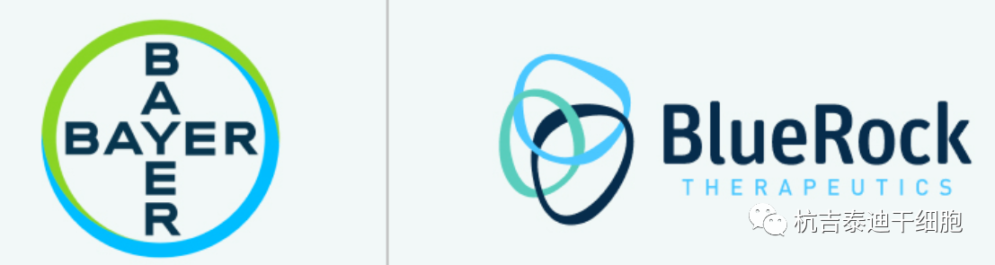 拜耳表示神經元干細胞療法治療帕金森病：首個1期臨床試驗取得積極結果