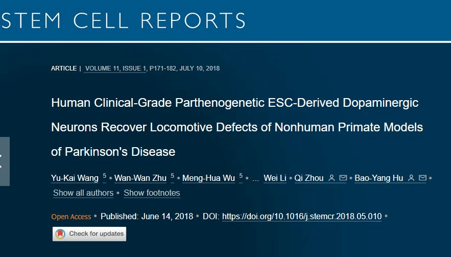人類臨床級(jí)孤雌生殖 ESC 衍生的多巴胺能神經(jīng)元可恢復(fù)非人類靈長(zhǎng)類動(dòng)物帕金森病模型的運(yùn)動(dòng)缺陷