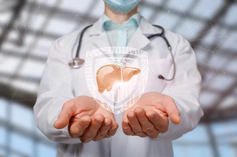 間充質(zhì)干細胞治療肝病：現(xiàn)狀與展望