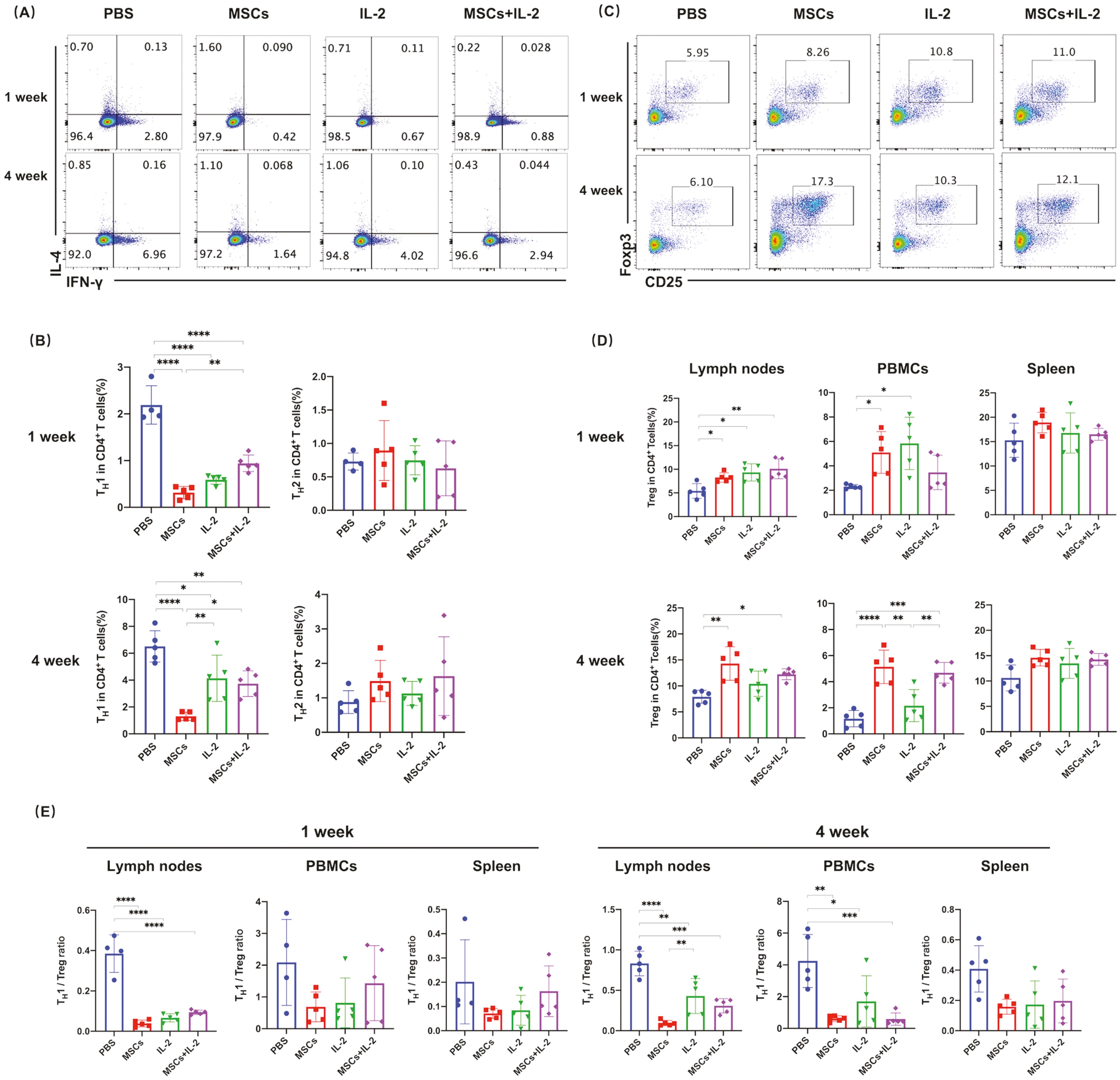 圖4：UC-MSC調節T細胞亞型