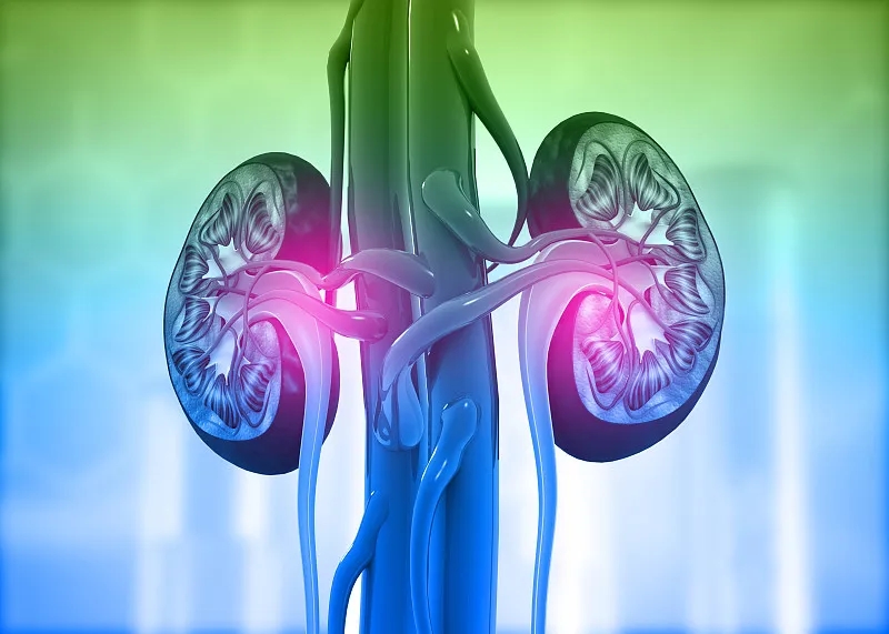 慢性腎?。喊Y狀-原因-危險因素