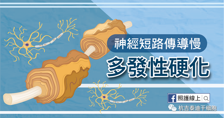 干細(xì)胞作為神經(jīng)退行性疾病的潛在治療方法之多發(fā)性硬化癥篇