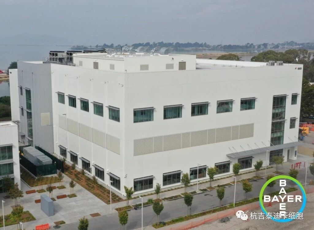 投資2.5億美元！拜耳新建細胞治療工廠，推進細胞療法生產！