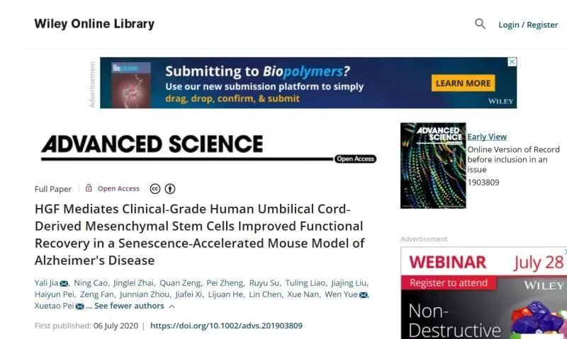 HGF介導(dǎo)臨床級(jí)人臍帶間充質(zhì)干細(xì)胞改善功能恢復(fù)在衰老加速的阿爾茨海默病小鼠模型中