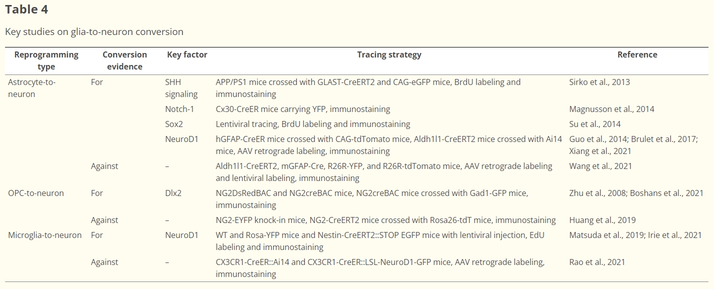 表4：膠質細胞到神經元轉化的重點研究