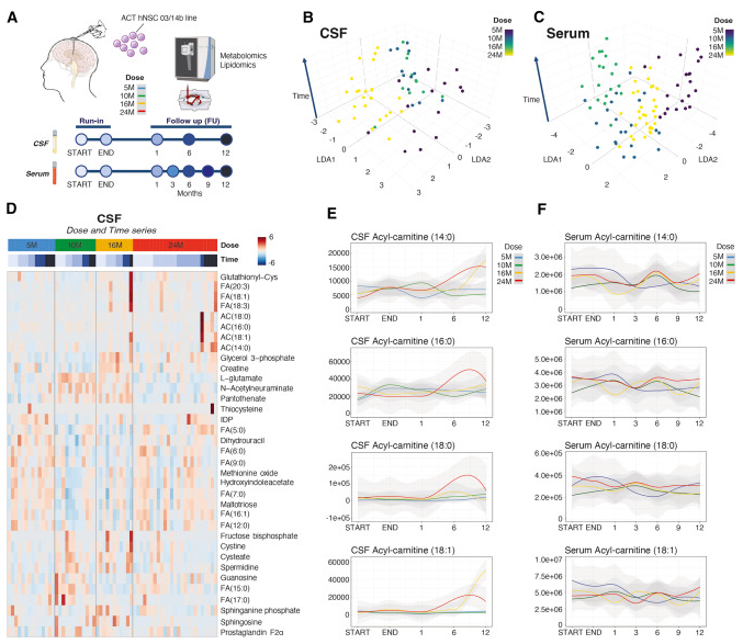 初步的試驗結果顯示，大多數參與者在治療后表現出一定程度的神經功能改善。