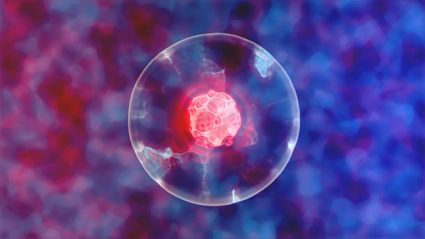 中科脂肪干細胞 中科脂肪干細胞