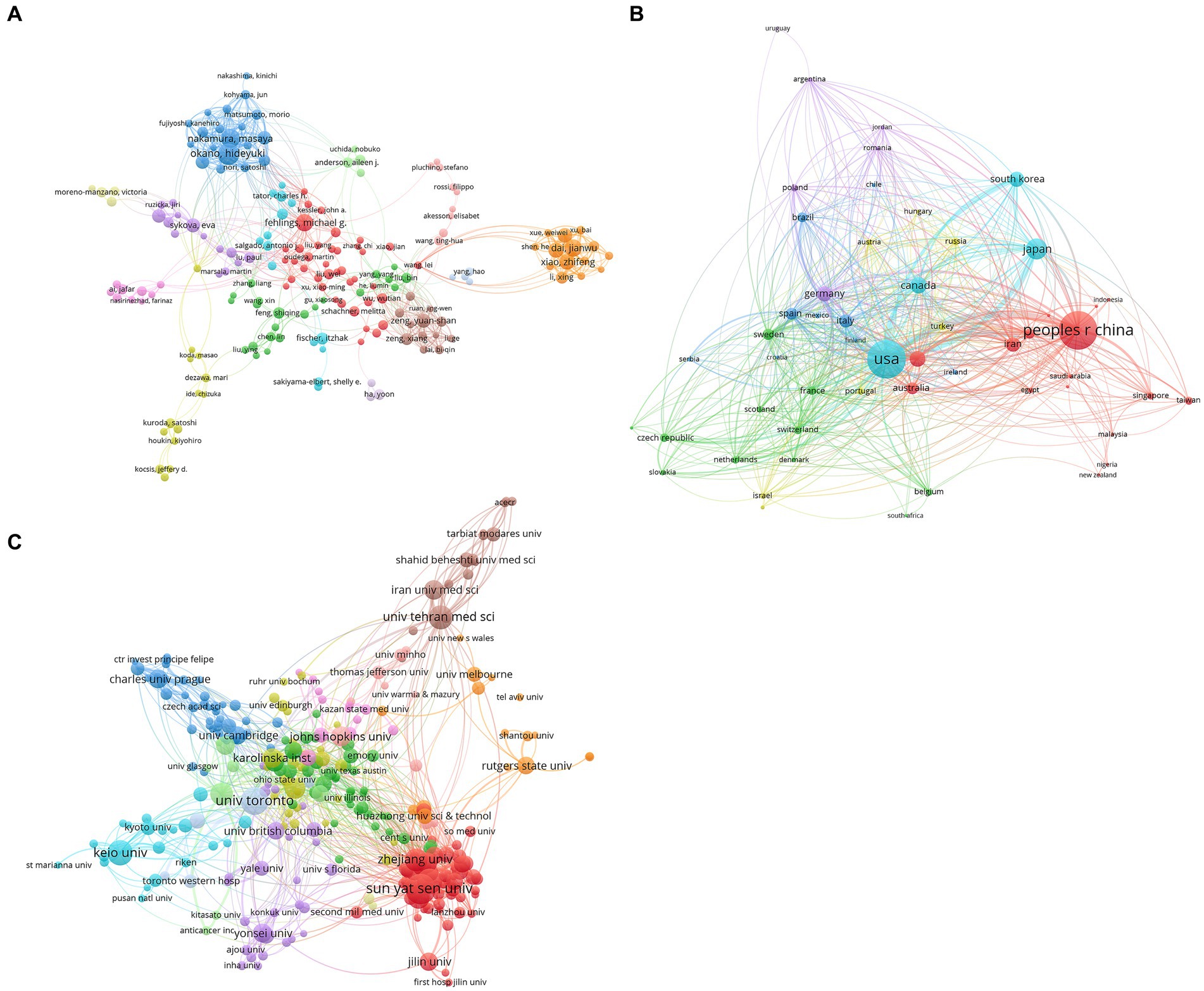 圖4：干細胞治療脊髓損傷研究的合著者分析。