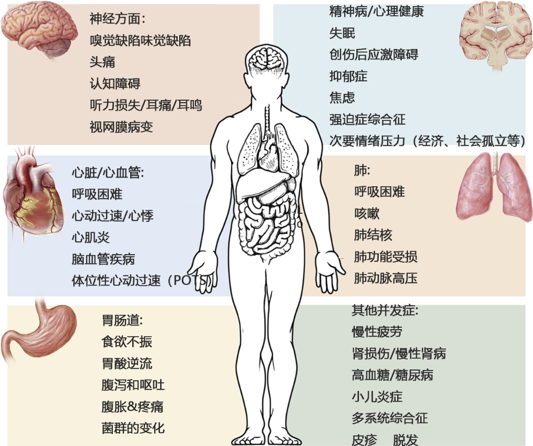 間充質干細胞可改善多種新冠后遺癥