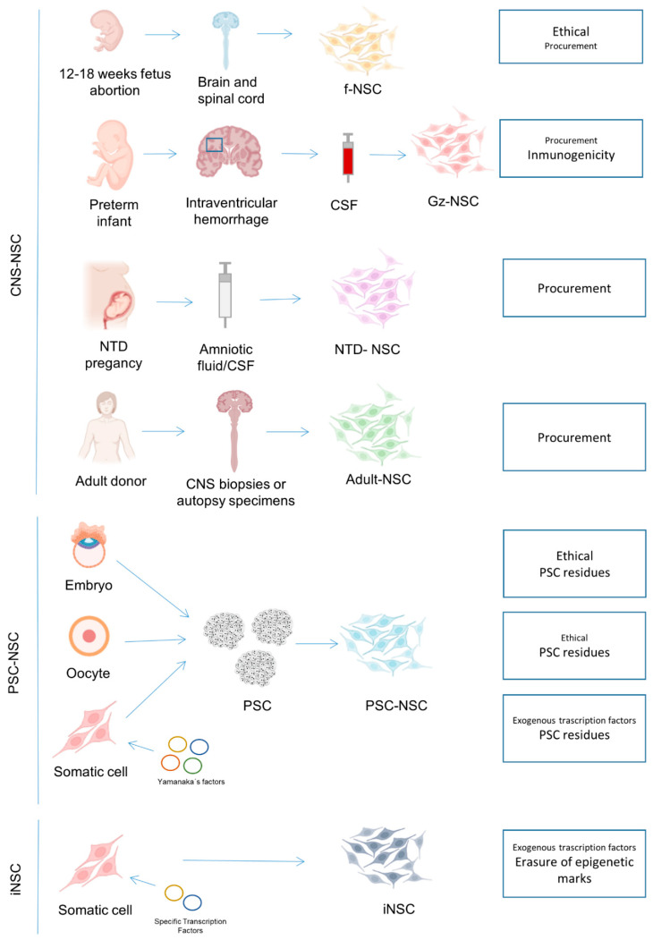 圖1：NSC生產(chǎn)的可用來源以及每個(gè)來源的主要關(guān)注點(diǎn)。