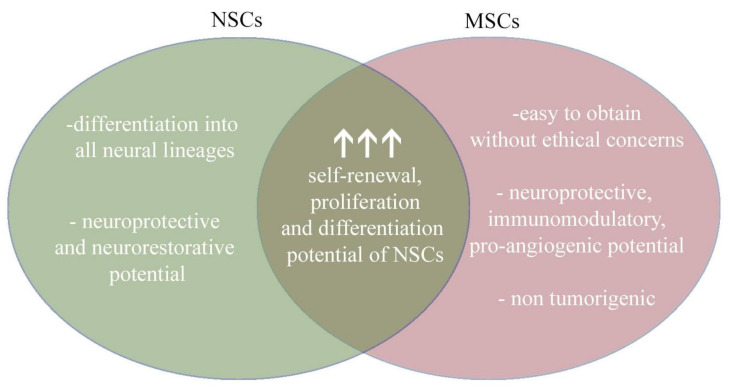 圖4：將神經干細胞和間充質干細胞的治療益處相結合，為治療提供了新的視角。