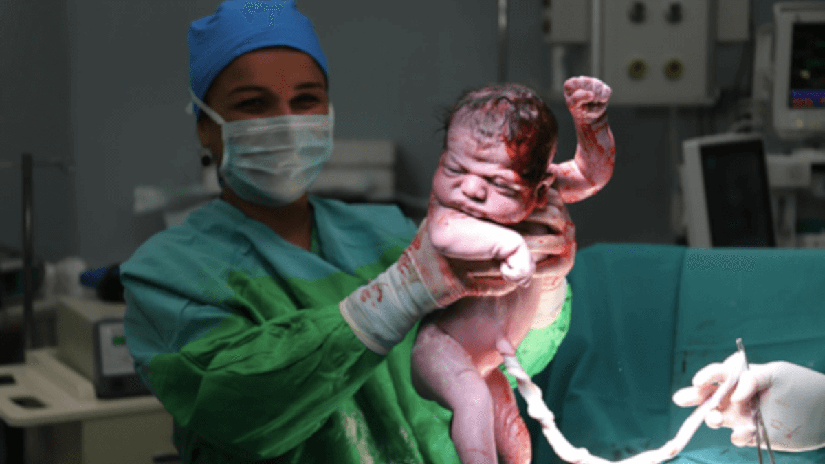 為什么我們選擇不使用胚胎細胞治療自閉癥？