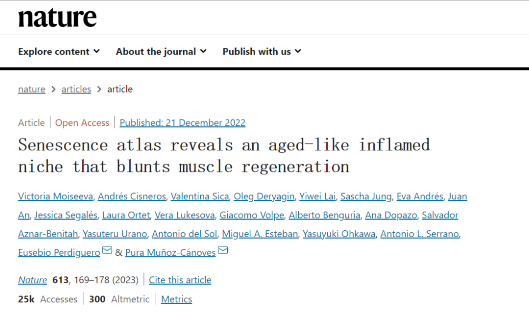 衰老圖譜揭示了類似衰老的炎癥微環境，阻礙了肌肉再生