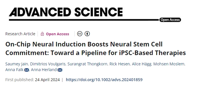 片上神經(jīng)誘導(dǎo)增強了神經(jīng)干細(xì)胞的承諾：邁向基于iPSC的療法的管道