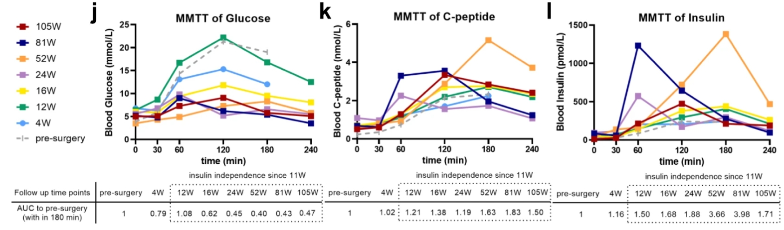來自 MMTT 測定的血清空腹和進餐刺激的循環葡萄糖、C 肽和胰島素水平