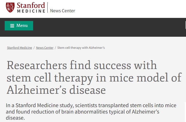 研究人員在阿爾茨海默病小鼠模型中發(fā)現(xiàn)干細(xì)胞療法取得成功