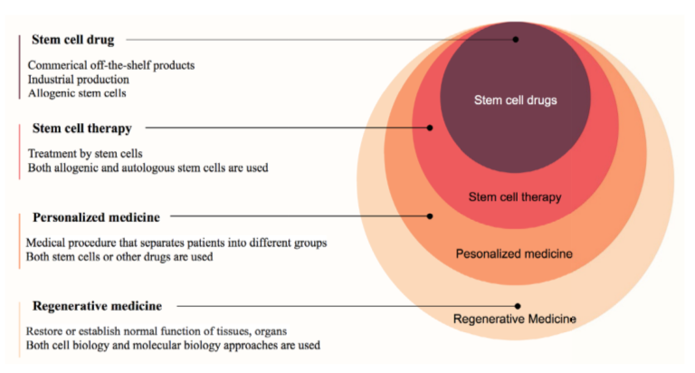 圖1:再生醫(yī)學(xué)中的干細(xì)胞藥物 圖1:再生醫(yī)學(xué)中的干細(xì)胞藥物