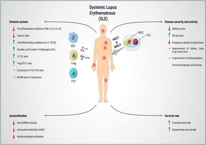 圖1：SLE患者的疾病發(fā)病機(jī)制、嚴(yán)重程度和活動(dòng)性。