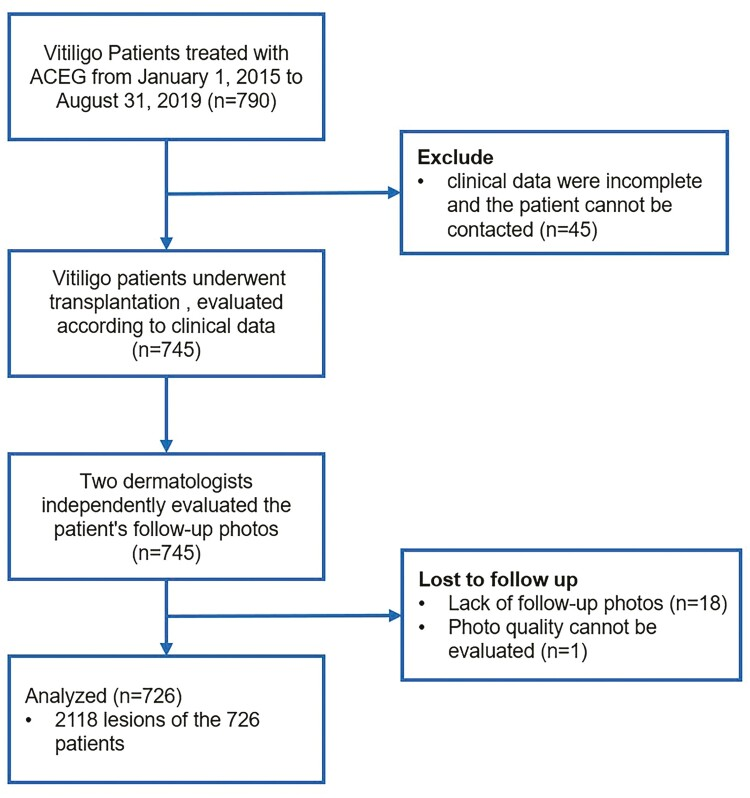 圖1：自體干細胞移植治療白癜風的流程圖