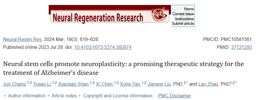 神經(jīng)干細(xì)胞促進(jìn)神經(jīng)可塑性：一種治療阿爾茨海默病的有前途的治療策略