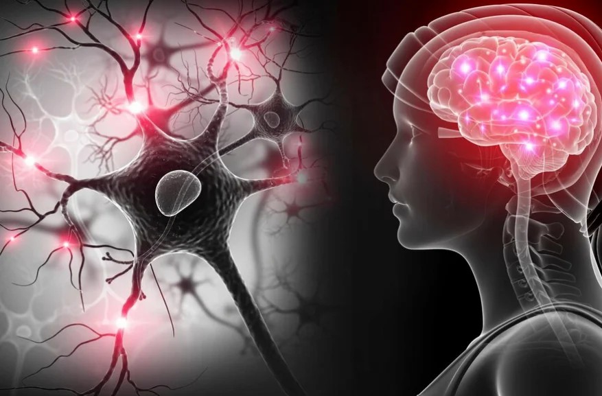 干細胞移植治療神經系統疾病的現狀和未來展望