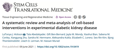 實驗性糖尿病腎病細(xì)胞干預(yù)的系統(tǒng)評價和薈萃分析