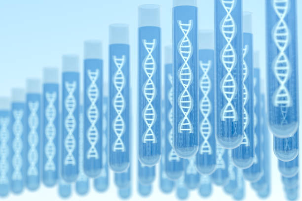 強直性脊柱炎基因檢測 強直性脊柱炎基因檢測