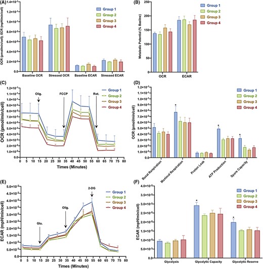 圖3：從對照組和2型糖尿病 (T2DM) 患者中分離的骨髓間充質干細胞 (BM-MSC) 的代謝概況。