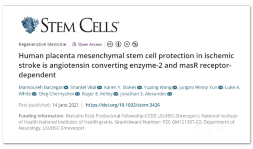 人胎盤間充質(zhì)干細(xì)胞對(duì)缺血性中風(fēng)的保護(hù)作用是血管緊張素轉(zhuǎn)換酶-2 和 masR 受體依賴性的