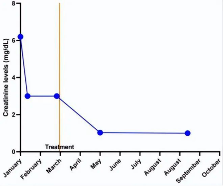 在6個月隨訪時，患者顯示血壓讀數正常(120/80 mmHg)。