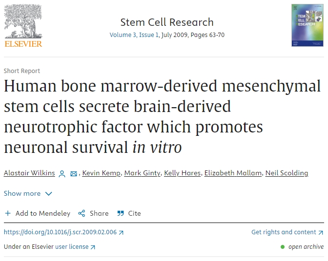 人類(lèi)骨髓間充質(zhì)干細(xì)胞分泌腦源性神經(jīng)營(yíng)養(yǎng)因子，促進(jìn)體外神經(jīng)元存活