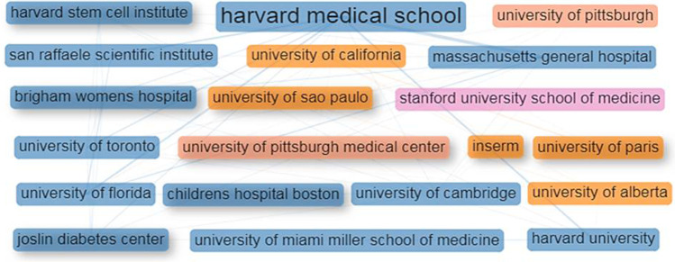 圖4：干細(xì)胞治療1型糖尿病研究的主要機(jī)構(gòu)的合作網(wǎng)絡(luò)。