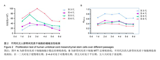 不同代次人臍帶間充質于細胞的增殖活性檢測