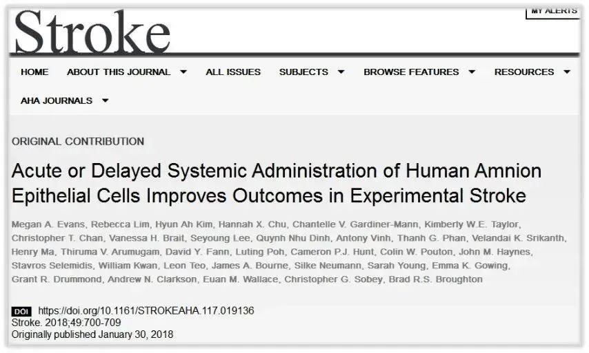 急性或延遲全身給藥羊膜上皮細胞改善實驗性腦卒中的預后