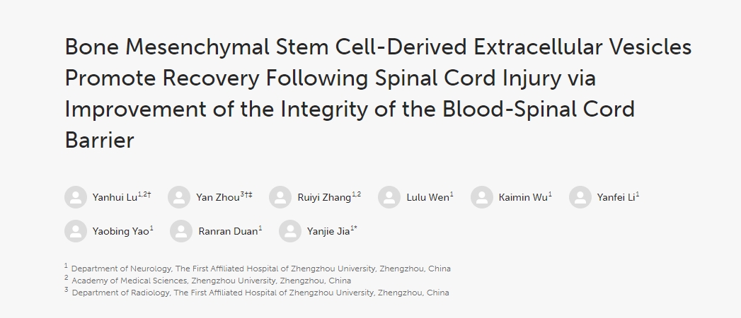 骨髓間充質干細胞衍生的細胞外囊泡通過改善血脊髓屏障的完整性促進脊髓損傷后的恢復