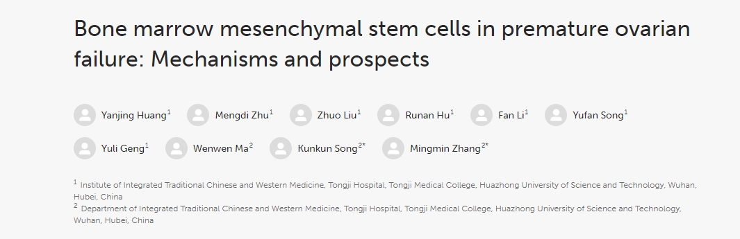 骨髓間充質干細胞在卵巢早衰中的作用：機制與前景