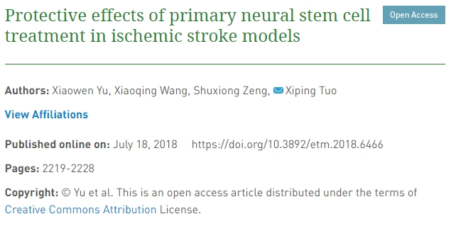 原發(fā)性神經(jīng)干細胞治療對缺血性中風模型的保護作用