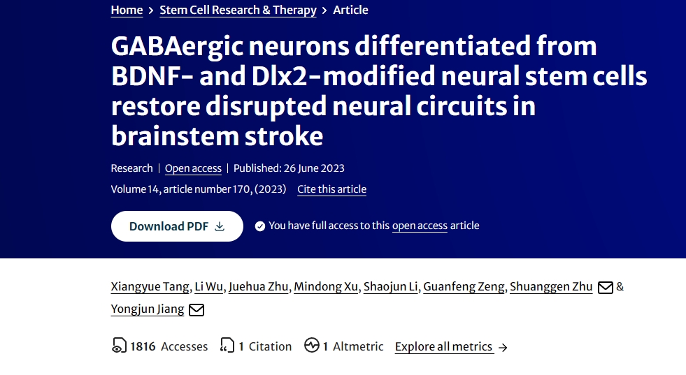 由BDNF和Dlx2修飾的神經(jīng)干細胞分化而來的GABA能神經(jīng)元可修復(fù)腦干中風時受損的神經(jīng)回路