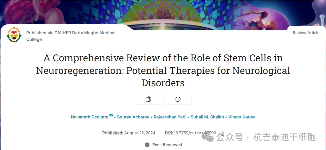干細胞作用機制之一（神經再生）：成為治療神經系統疾病的潛在療法