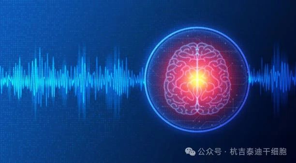 01神經系統疾病的簡介與背景