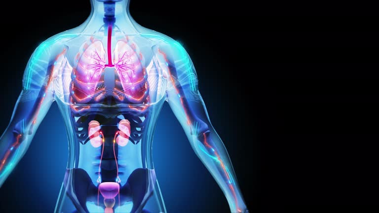 干細胞療法可以重建腎臟功能嗎？